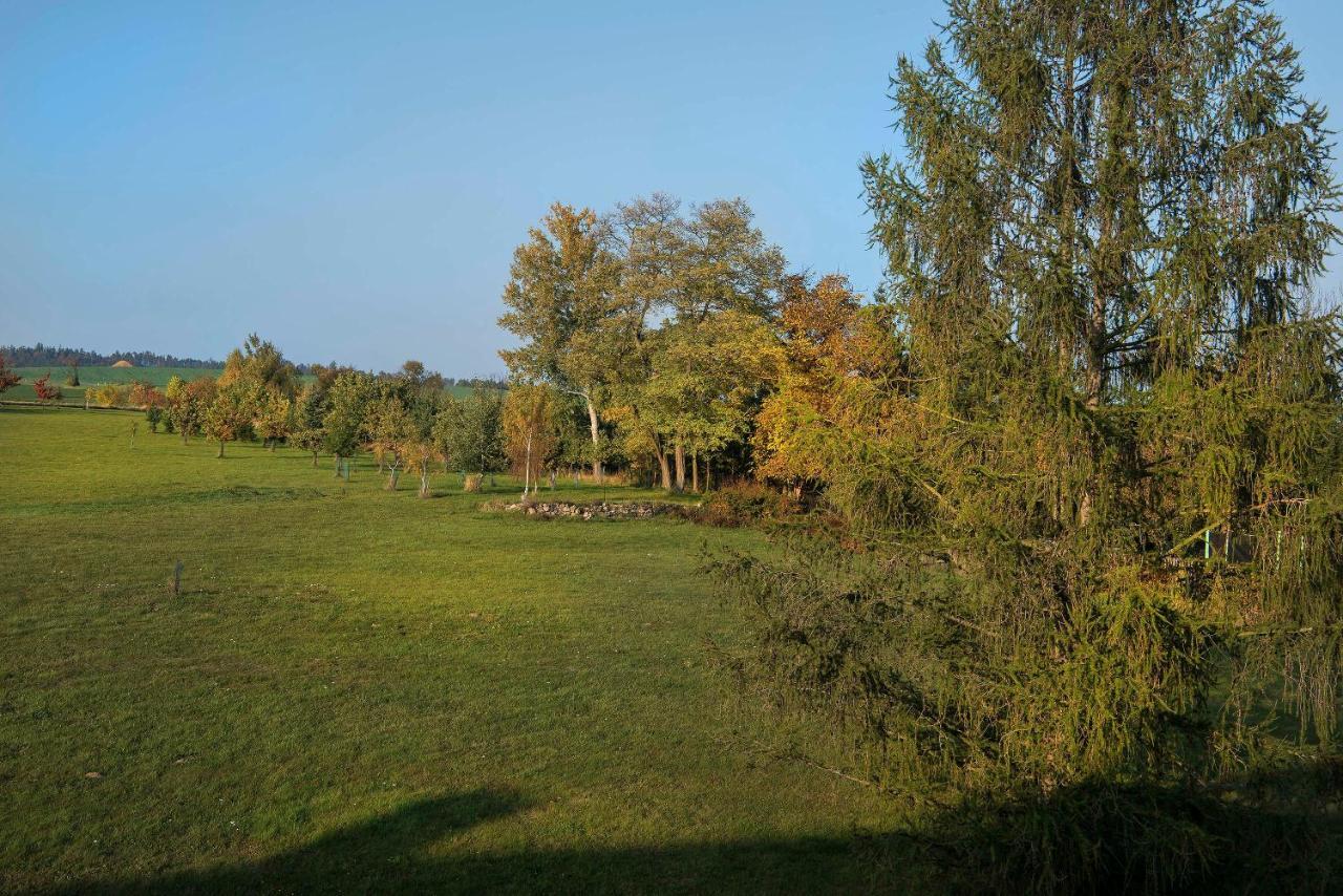 Отель Zamek Liboun Lounovice pod Blanikem Экстерьер фото